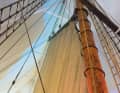 Voile d'artimon carrée, nid de corbeau et vergue de Mars manquent, la grand-voile est affalée : la hauteur du plafond du musée est trop basse.