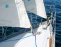 A cutter stay allows many variations of sail handling - and no windlass at the front that could snag anything