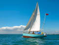 Instead of gaff rig: mizzen mast without mizzen, but only for a staysail on rough courses. Rose had the rig heavily overhauled