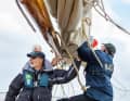 Handarbeit: Der Skipper Kai Bruhn (l.) wird von einer Crew von Freiwilligen unterstützt, die „Rigmor“ vor Glückstadt auf der Elbe und mitunter auch auf entfernteren Revieren zu segeln