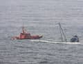 Lo yacht a vela “Idem” affonda a seguito dell’attacco di un’orca