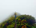 ... und eine Wanderung in dichtem Nebel über die bergige Azoreninsel