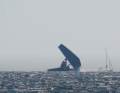 Der Mast von Alinghi Red Bull Racings "BoatOne" kommt von oben