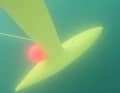 Die "Bremse" hatte sich in Form einer Boje an der Kielbombe verhakt.