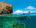 Snorkelling on the reef at The Indians. Meanwhile, the yacht is moored at the mooring buoy