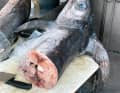 Overfishing, ...