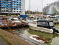 The devastation in Damp