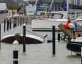 Pictures of sunken yachts