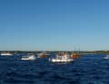 Armada de bateaux à la chasse aux dauphins | Lynn Benda/GRD