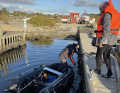 The dolphin's object of desire: the rubber dinghy towed into Skødshoved harbour