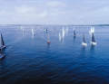Light wind start for the 6th Baltic 500 in the Strander Bucht