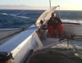 Lawson on the trimaran "Defiant"