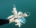 A French environmental NGO in the Mediterranean shows masks and gloves that pollute the seabed