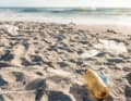 Plastic bottles and rubbish on the beach