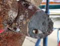 Large anodes with a lot of volume last several seasons. Then remove all foreign material from the surface for good function