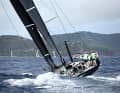 Des machines de course aux bateaux de location : L'éventail des types de bateaux qui ont pris le départ de l'Antigua Sailing Week était large. Parmi eux, le "Pyewacket" de l'Américain Roy Disney.