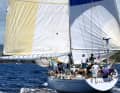 Le 79 pieds Sparkman & Stephens "Kialoa III" comptait parmi les classiques de la course.