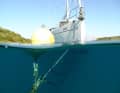 Yacht on mooring buoy. This prevents anchors from digging up the sensitive seabed in places