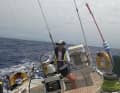 Ebru Yaral confidently steers the Swan across the Atlantic