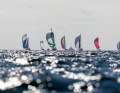 Peter Guest regatta field under spinnaker