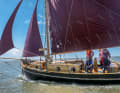 Almost like in the old days: the "Forelle" under sail in the Schleswig-Holstein Wadden Sea