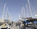Sur les pontons s'alignent alors surtout les yachts des grands rallyes de l'ARC