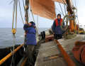 Paying guests are free to actively help with or steer the deck work