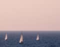 23e place : Sven Mehrtens, Cologne : quatre voiliers font route vers le port d'Héraklion dans les dernières lueurs du soir. Leurs silhouettes se détachent nettement sur le rose tendre du ciel et le bleu profond de la mer Égée – un moment paisible, presque méditatif, pour clôturer une journée de voile.