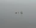 Platz 21: Tobias Keil, Kopenhagen: Nebel am Morgen vertilgt sämtliche Konturen auf dieser Aufnahme. Der Übergang vom Wasser zum Himmel lässt sich kaum erahnen. Einzig die Jollen einer jugendlichen Trainingsgruppe sowie das Dingi des Trainers liefern dem Auge einen Anhaltspunkt, um was es sich überhaupt handelt. Die Aufnahme lebt von der Reduktion. Die Farbtupfer der Segel im sonst allumfassenden grau machen das Foto besonders.