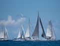 Lancement de l'ARC Europe 2026 au large de Sint Maarten
