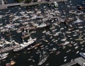 Aus der Luft ist das gewaltige Gewimmel auf dem Wasser bei Amsterdam am besten zu sehen