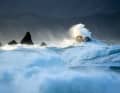 Forces of nature in the South Pacific: on 9 June 2026, monster waves hit the south coast of Wellington. New Zealand’s emergency services declared a state of emergency for several coastal towns and evacuated properties near the shore.