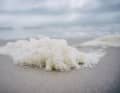 According to Greenpeace, if you come into contact with the foam, a health hazard cannot be ruled out. Photo: Roman Pawlowski/ Greenpeace