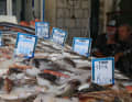 Frisch aus dem Meer: Der Fischmarkt in Pothia