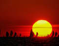 But there are also idyllic beauties to choose from. Here is a unique sunset at Silverrudder, photographed by Christian Gossmann, also from Germany