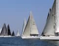 A tight field on the water: the Grand Soleil Cup brings together yachts of different sizes.