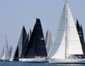 Vele bianche e nere caratterizzano l'immagine della Grand Soleil Cup, dove si incontrano l'ambizione sportiva e la comunità degli armatori.
