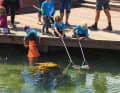 Spannendes Naturerleben: Von der neuen Steg-Plattform des Outdoor- Aquariums in Helsingør können Kinder Krebse und Fische erforschen