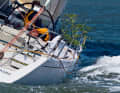 Pictures from various North Sea weeks, on which the Whitsun bush can still often be seen today