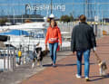 Etiquette de ponton : la laisse est obligatoire dans le port, en cas de rencontre, prendre le chien à l'extérieur