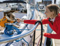 Ne les caressez pas (sans y être invité) ! Même s'ils sont mignons, n'attirez pas les chiens étrangers sur les bateaux pour les caresser ou même les nourrir sans qu'on le leur demande !