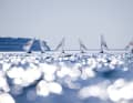 Beautiful Ilca-7 picture from the Kieler Woche.