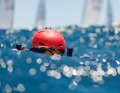 Pour les photographes aussi, ce fut une journée dont ils se souviendront longtemps.