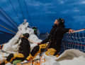 First Mate on Team GOSH, Otto Kulow, on the foredeck. Together with skipper Oli Irvine, he led the team to victory in the 2025/26 Clipper Round the World Yacht Race.
