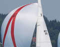 The "Bibelot II" on the downwind course under spinnaker
