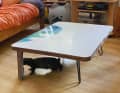 Une autre table basse est également tombée ici, complétée par des pieds en métal.
