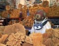 Kalymnos is the island of the sponge divers. There is also an exciting museum there that provides an insight into the life-threatening work of these people