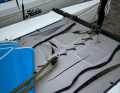 È incomprensibile come qualcuno possa deliberatamente tagliare i trampolini dei catamarani da spiaggia, che vengono altrimenti utilizzati per insegnare la vela ai bambini e ai giovani.