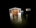 The shed resembles an island