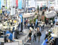Sailing yachts from Bavaria, Bente and Jeanneau